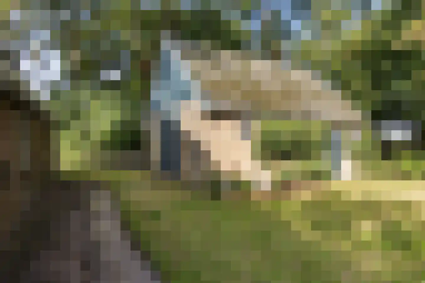 Hottingawei 32 Wommels thumbnail 49