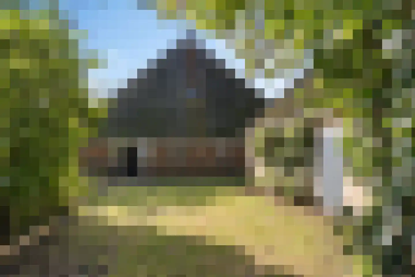Hottingawei 32 Wommels thumbnail 7