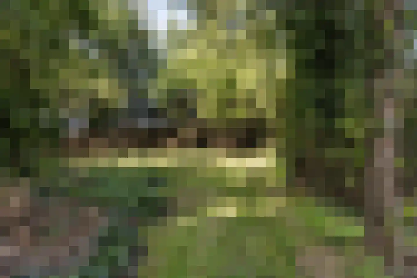 Hottingawei 32 Wommels thumbnail 8