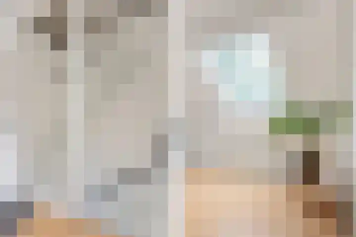 Hotze Brouwerstrjitte 10 Haskerhorne thumbnail 25