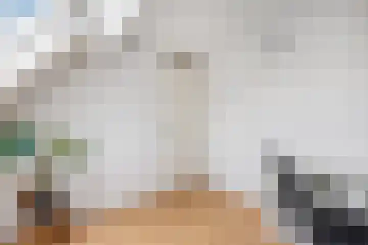Hotze Brouwerstrjitte 10 Haskerhorne thumbnail 31