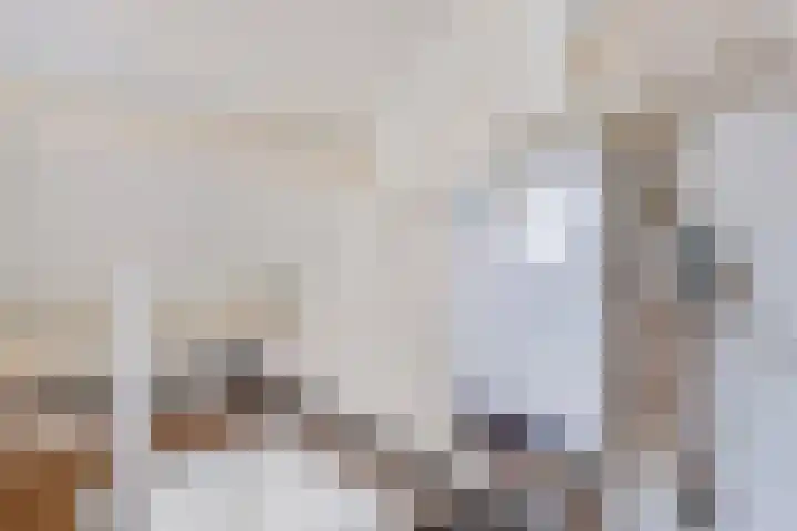 Hotze Brouwerstrjitte 10 Haskerhorne thumbnail 38