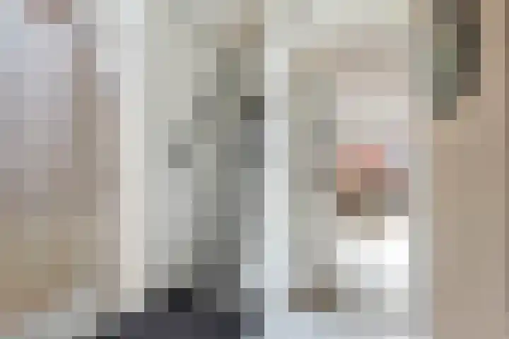 Hotze Brouwerstrjitte 10 Haskerhorne thumbnail 4