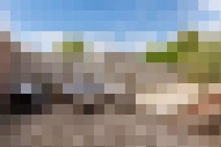 Hotze Brouwerstrjitte 10 Haskerhorne thumbnail 42