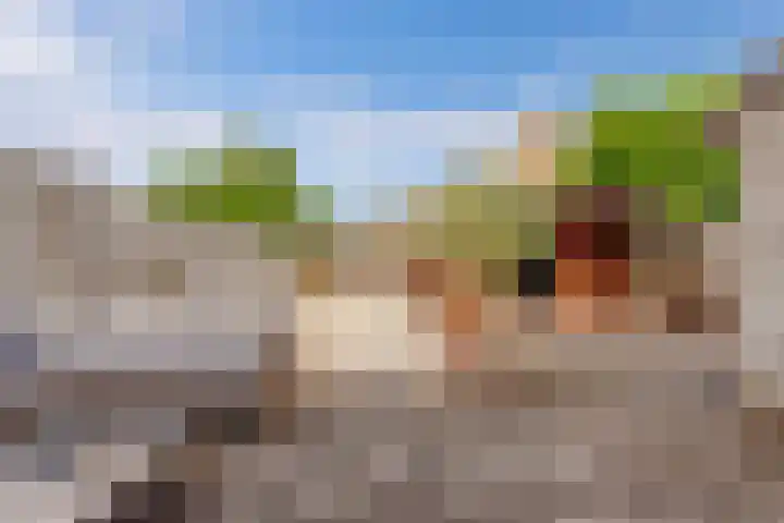 Hotze Brouwerstrjitte 10 Haskerhorne thumbnail 43