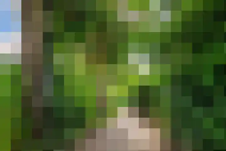 Hotze Brouwerstrjitte 10 Haskerhorne thumbnail 51