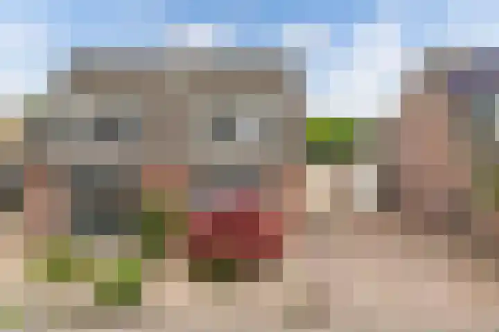 Hotze Brouwerstrjitte 10 Haskerhorne thumbnail 57