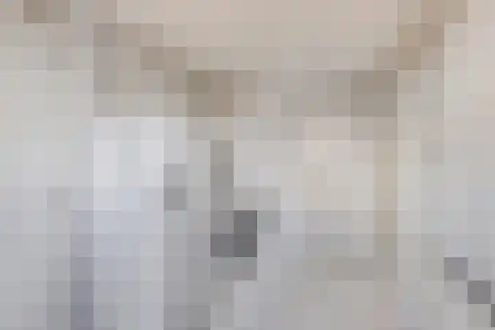 Hotze Brouwerstrjitte 10 Haskerhorne thumbnail 7
