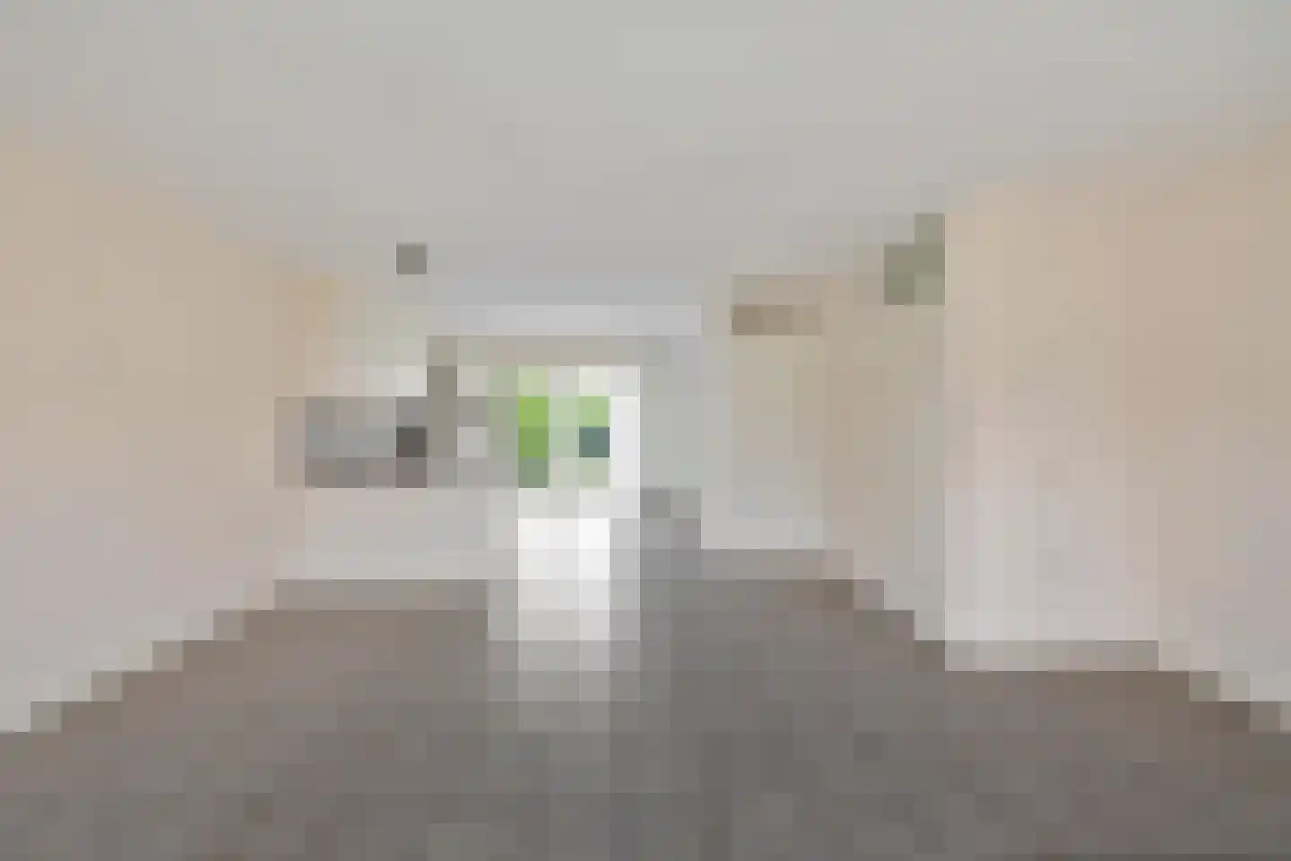 Hotze Brouwerstrjitte 14 Haskerhorne thumbnail 11