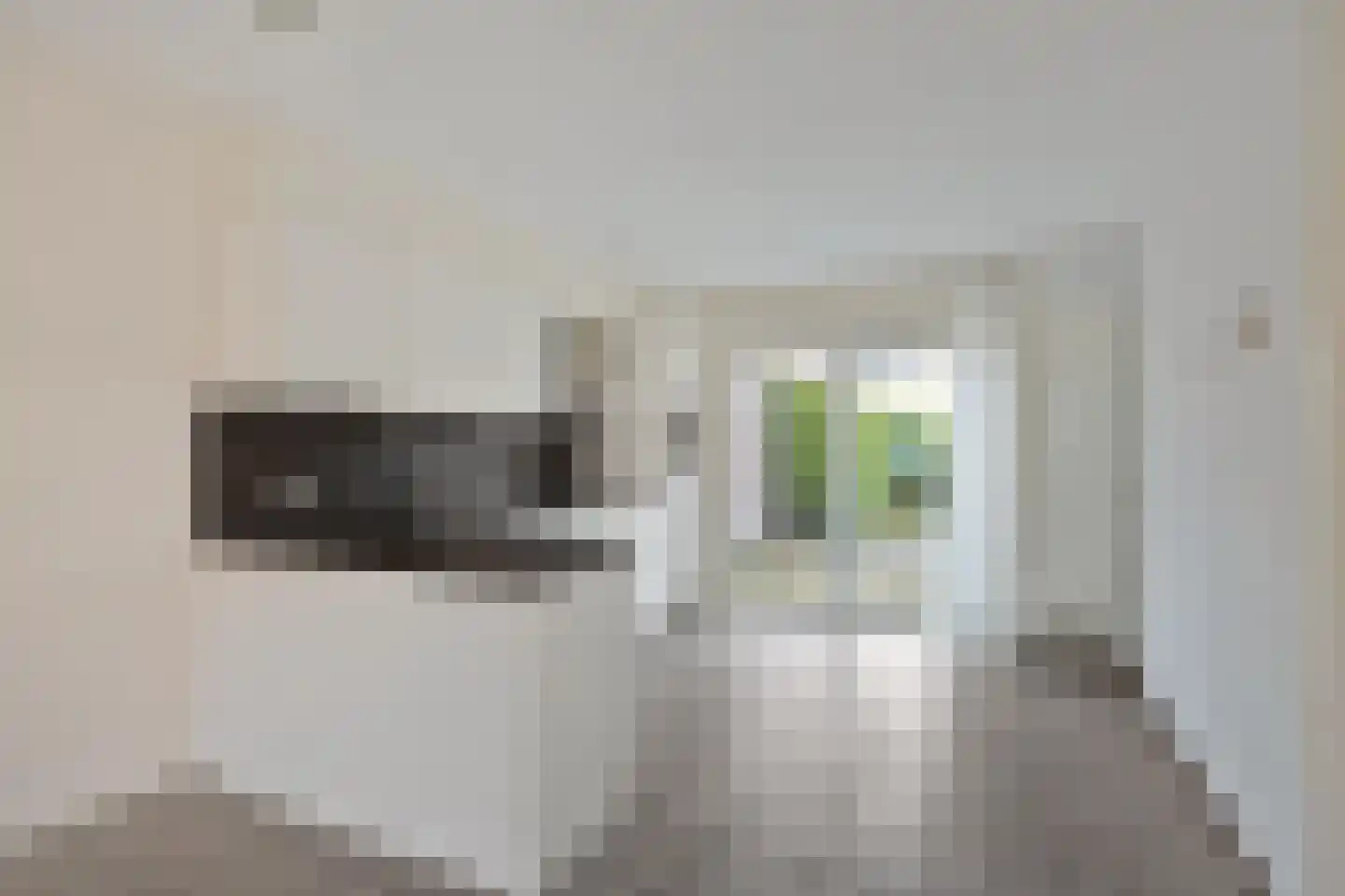 Hotze Brouwerstrjitte 14 Haskerhorne thumbnail 12