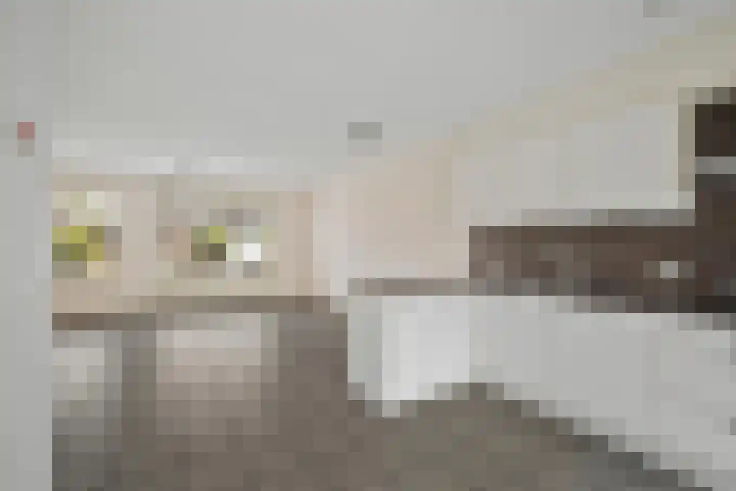 Hotze Brouwerstrjitte 14 Haskerhorne thumbnail 15