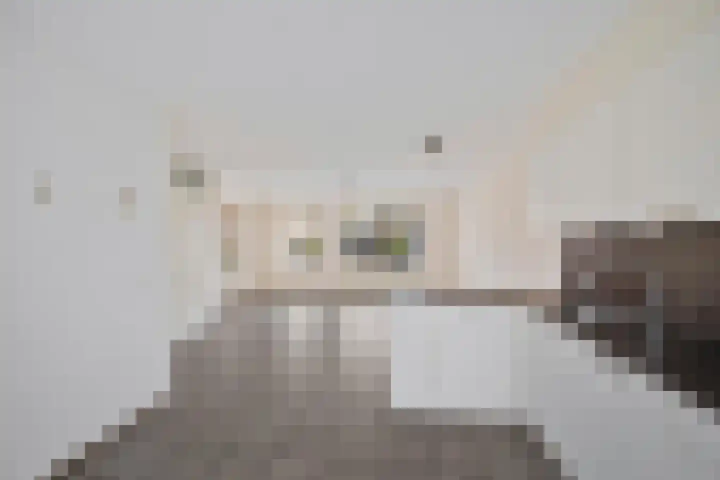 Hotze Brouwerstrjitte 14 Haskerhorne thumbnail 16