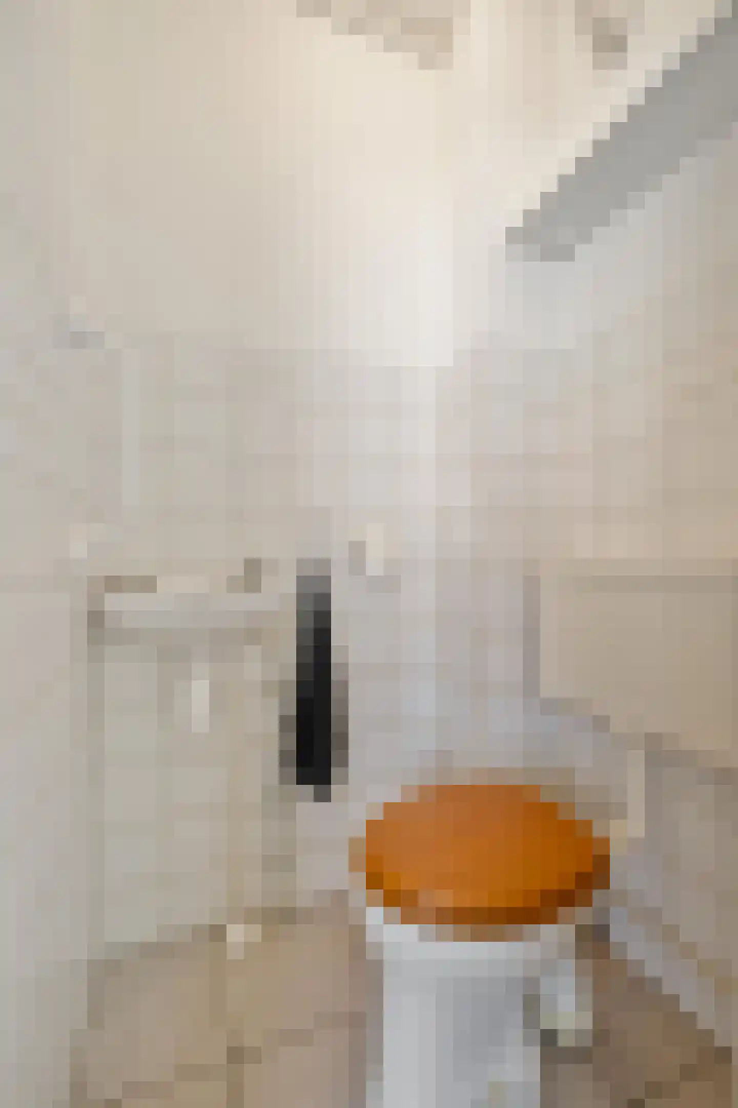 Hotze Brouwerstrjitte 14 Haskerhorne thumbnail 18