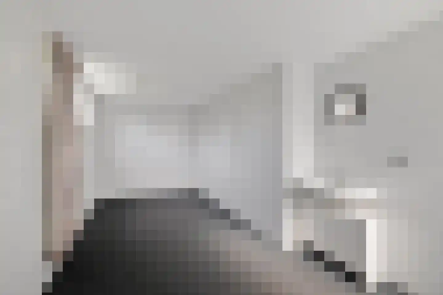 Hotze Brouwerstrjitte 14 Haskerhorne thumbnail 21