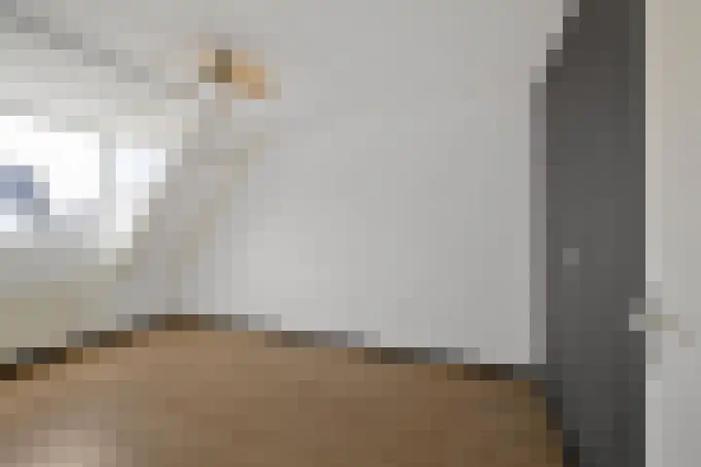 Hotze Brouwerstrjitte 14 Haskerhorne thumbnail 23