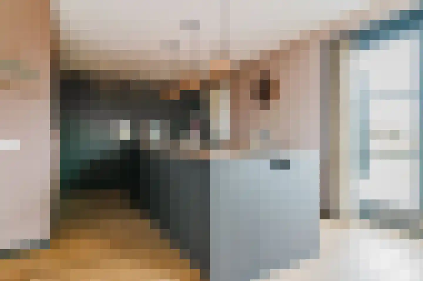 Hotze de Roosstrjitte 7 Langezwaag thumbnail 21