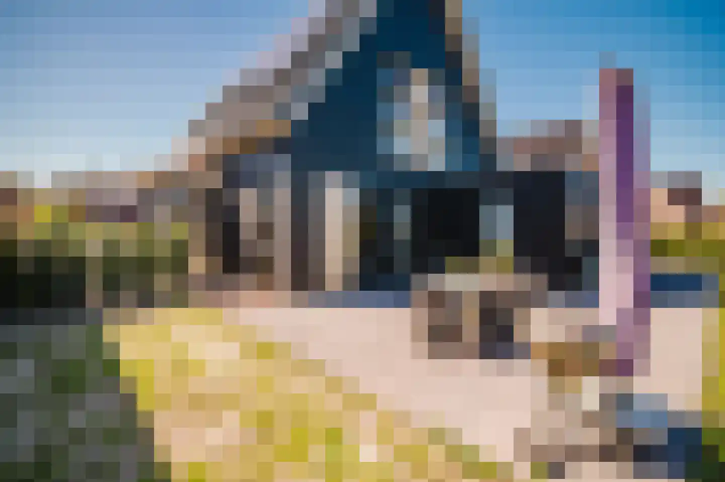 Hotze de Roosstrjitte 7 Langezwaag thumbnail 29
