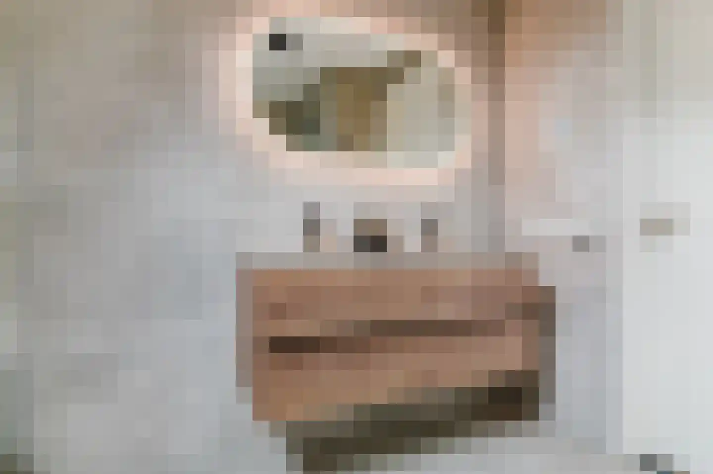Hotze de Roosstrjitte 7 Langezwaag thumbnail 36