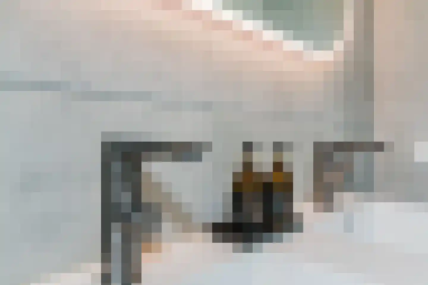 Hotze de Roosstrjitte 7 Langezwaag thumbnail 37