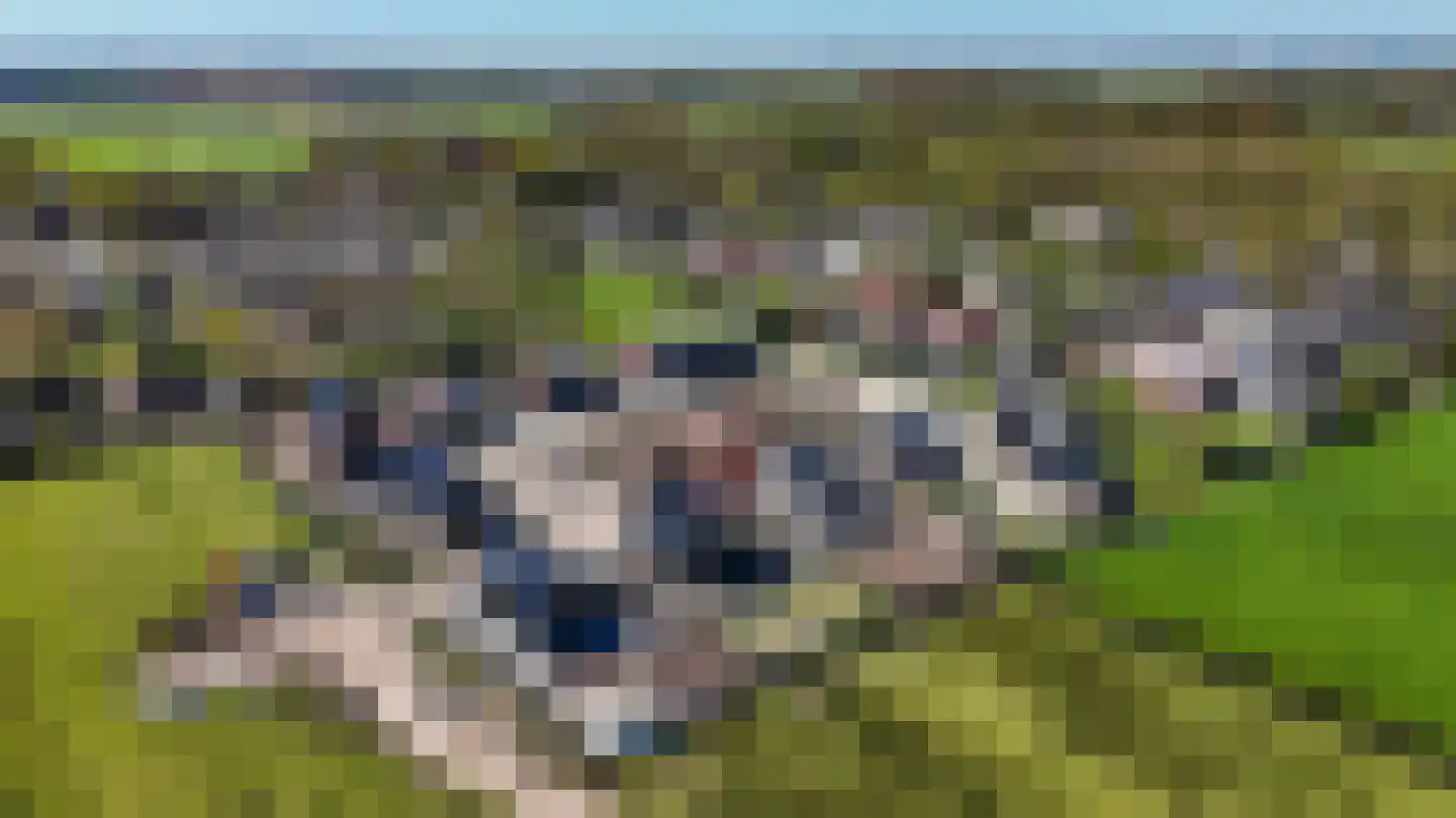 Hotze de Roosstrjitte 7 Langezwaag thumbnail 47