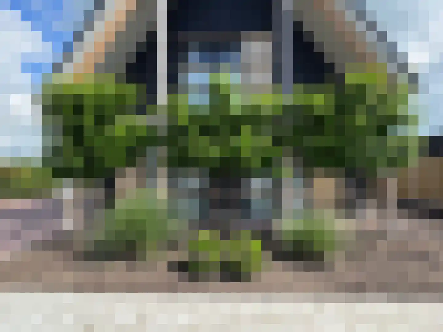 Hotze de Roosstrjitte 7 Langezwaag thumbnail 5