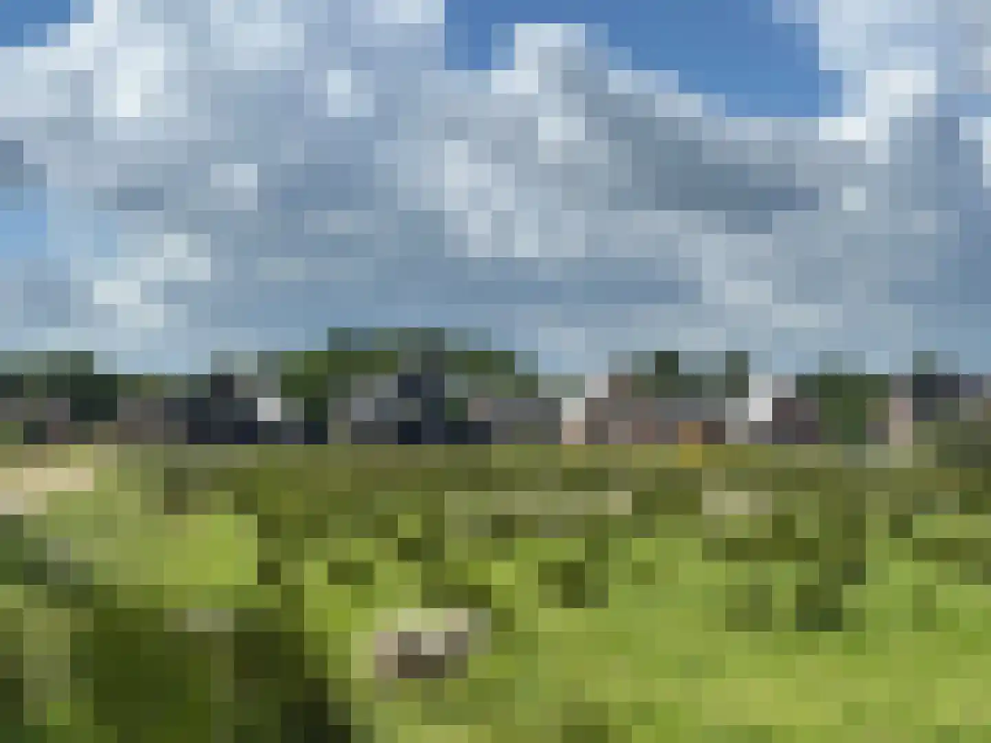 Hotze de Roosstrjitte 7 Langezwaag thumbnail 51