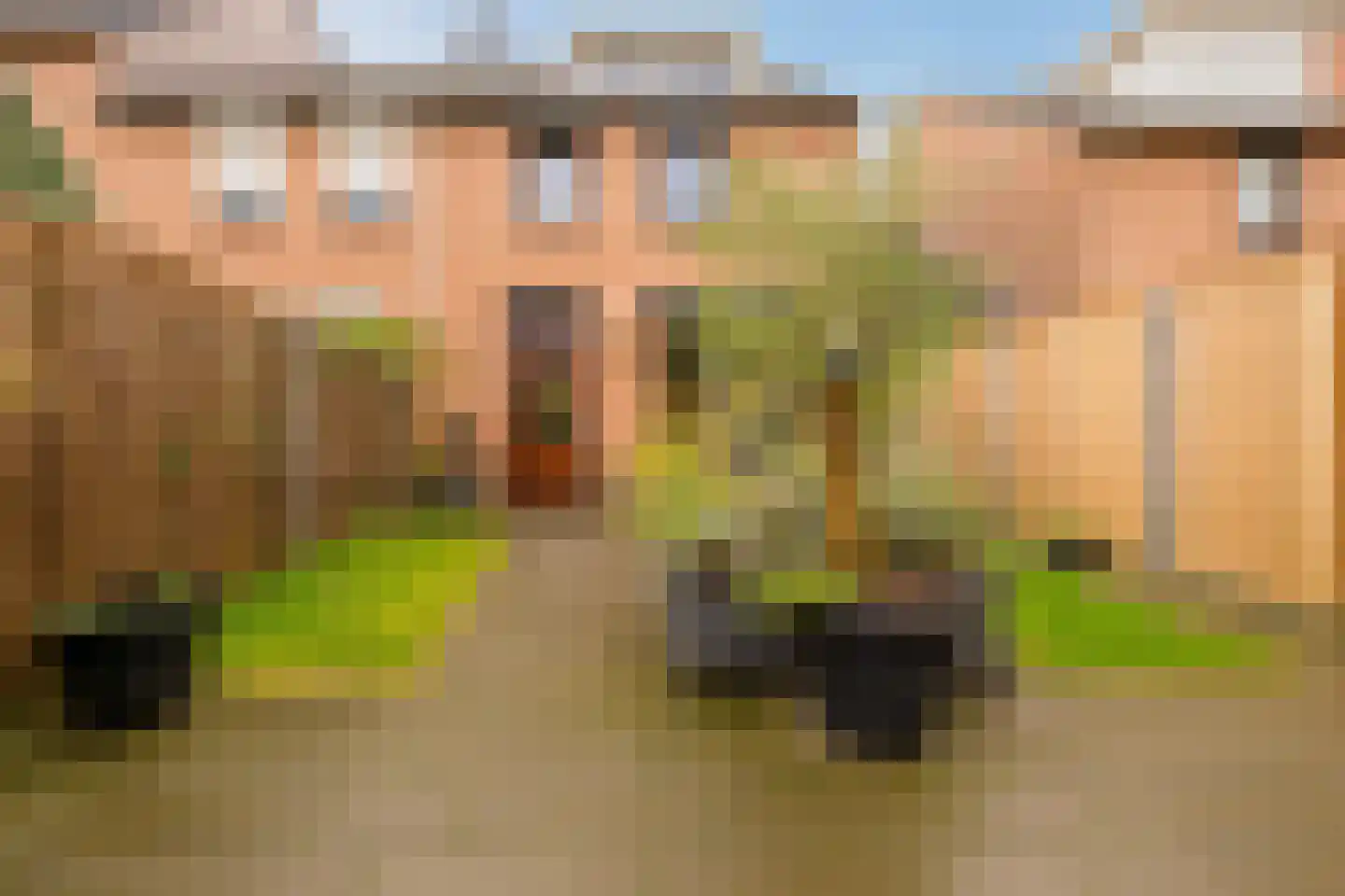 Houbeneindstraat 29 Munstergeleen thumbnail 25
