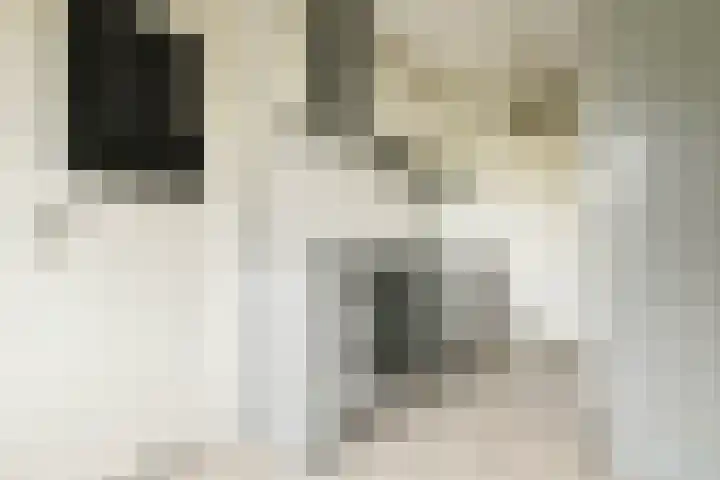 Houdringe 107 Amsterdam thumbnail 10