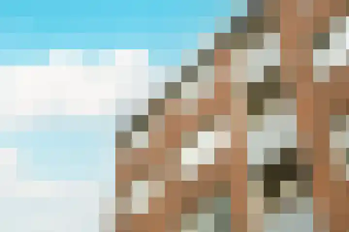 Houdringe 107 Amsterdam thumbnail 23