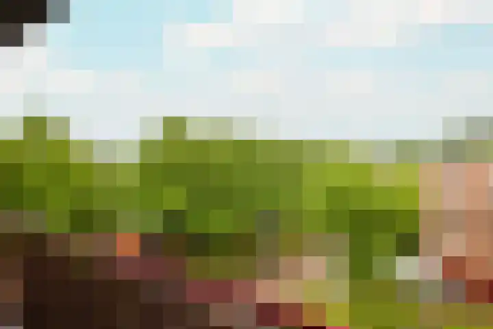 Houdringe 107 Amsterdam thumbnail 7