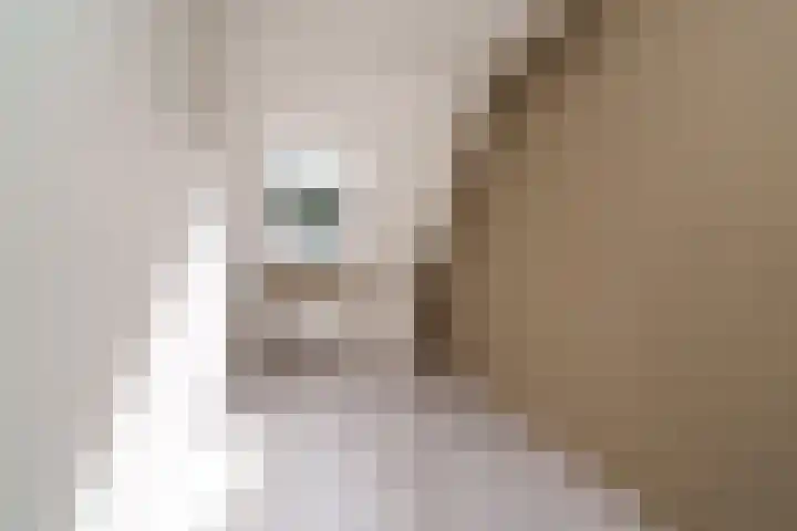 Houdringeweg 168 Rotterdam thumbnail 18