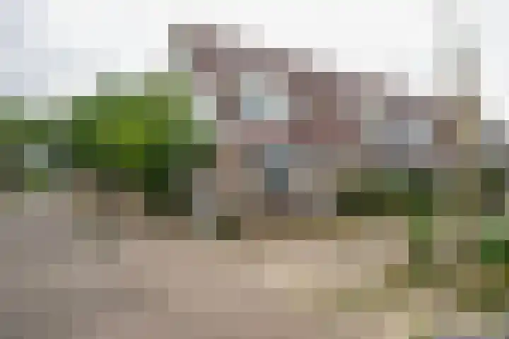 Houdringeweg 168 Rotterdam thumbnail 22