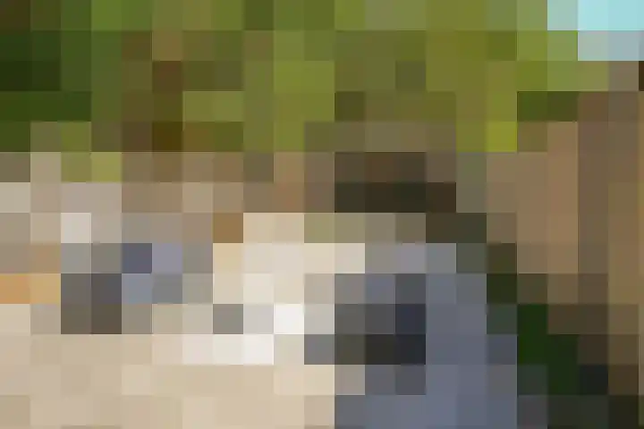 Houdringeweg 168 Rotterdam thumbnail 6