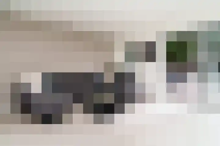 Houdringeweg 168 Rotterdam thumbnail 8