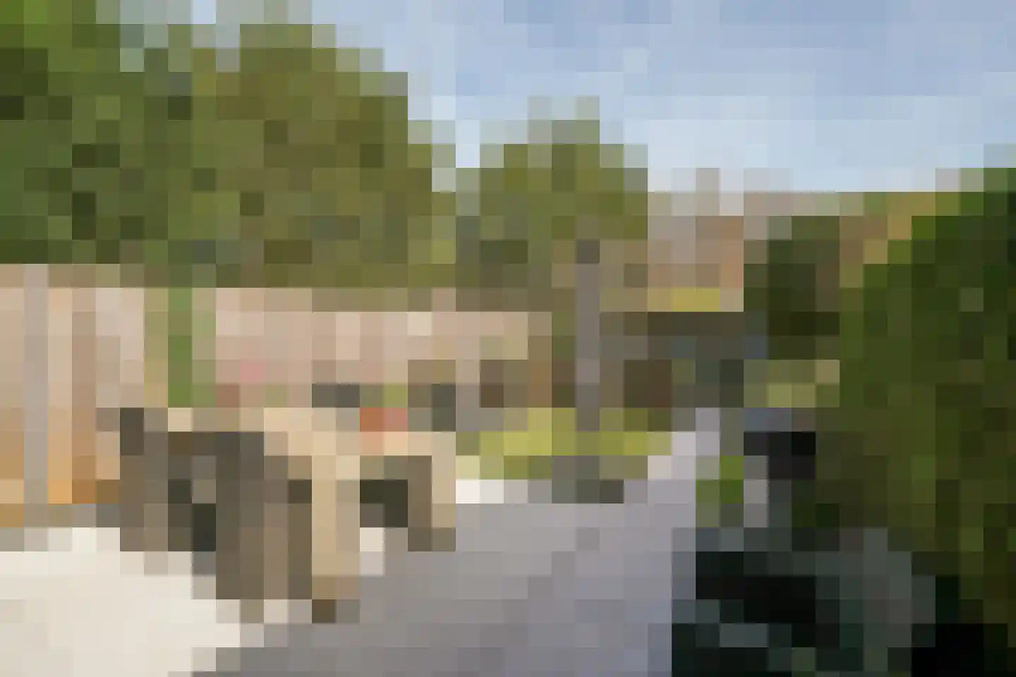 Houdringeweg 170 Rotterdam thumbnail 32
