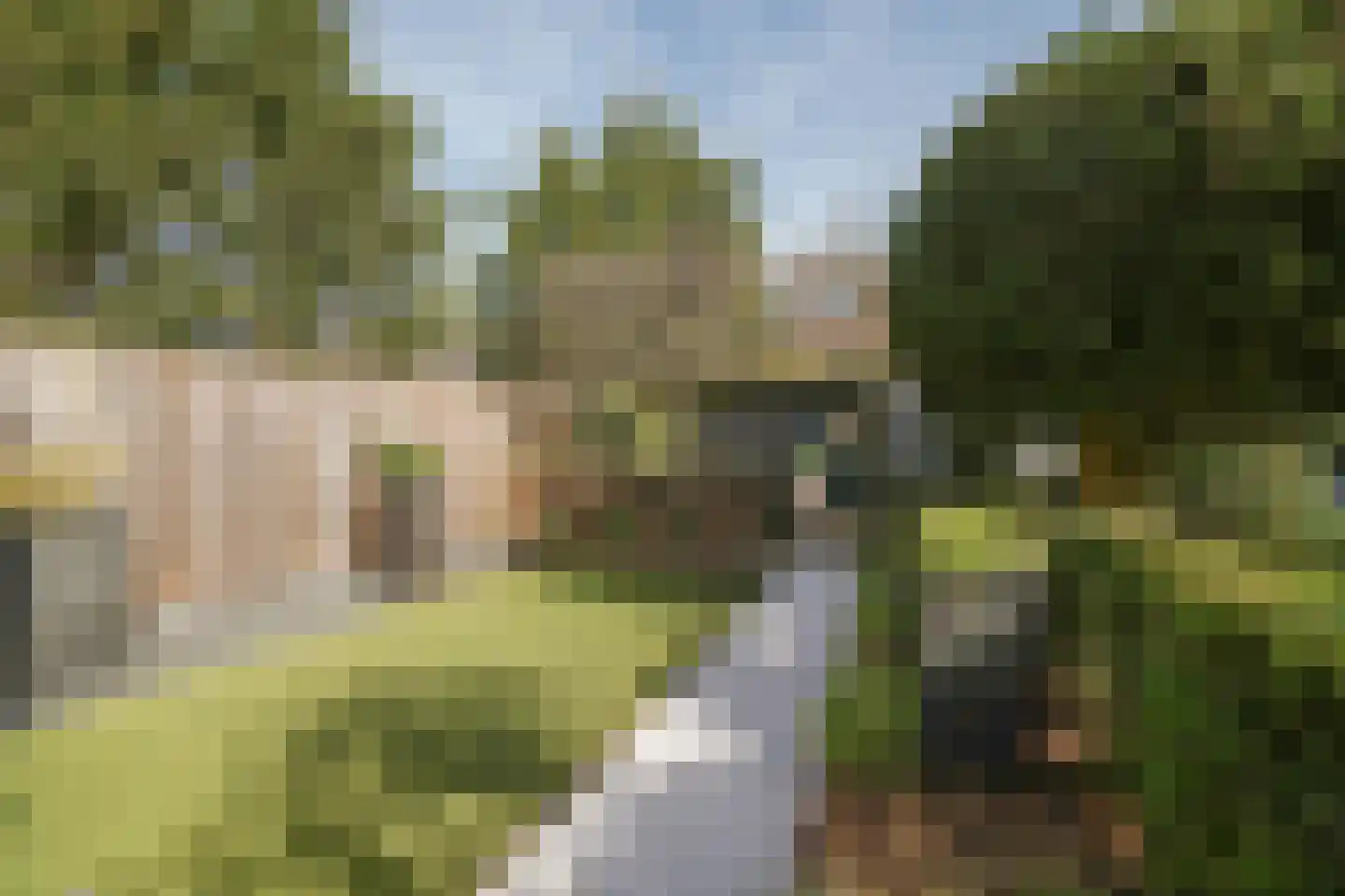 Houdringeweg 170 Rotterdam thumbnail 33