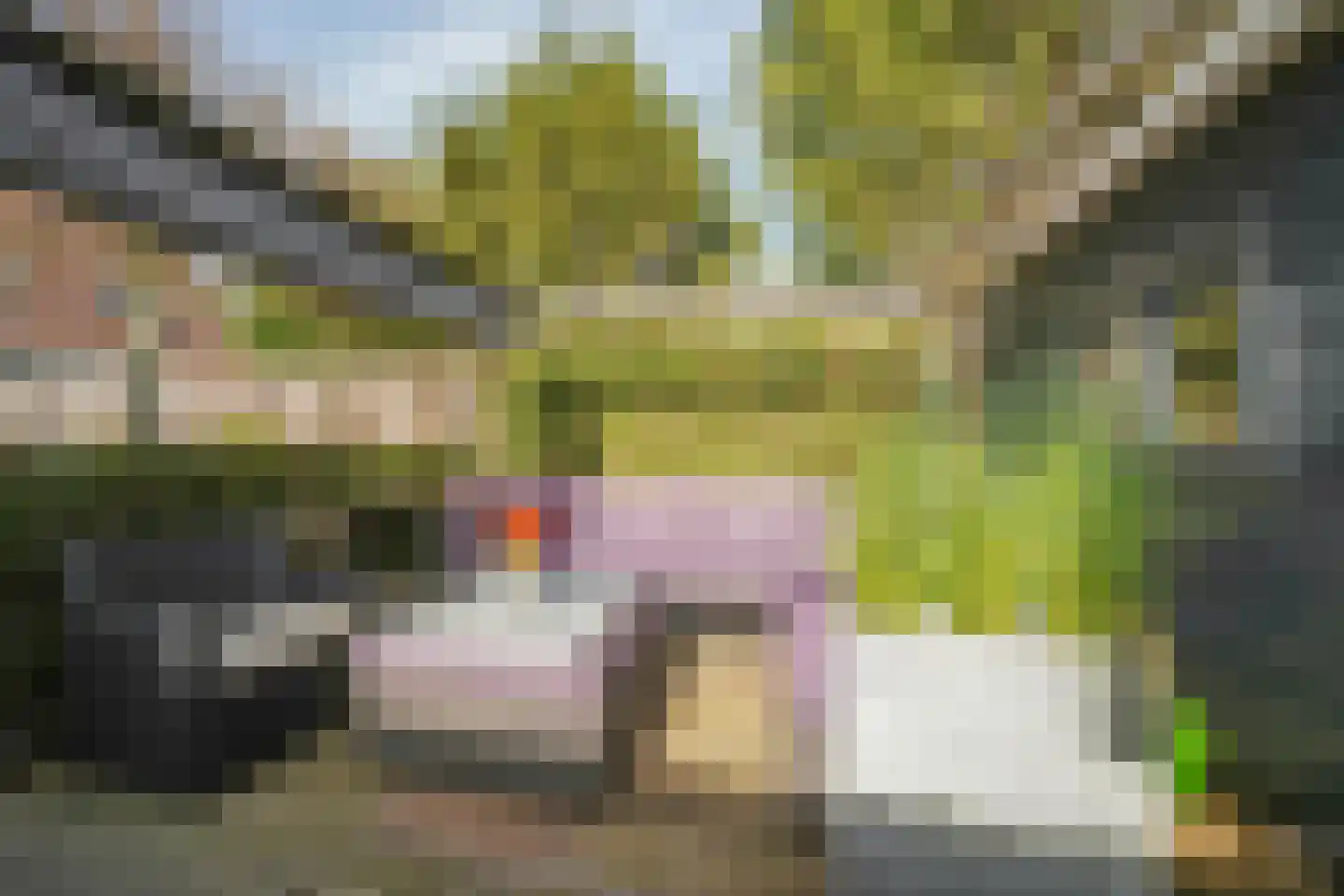 Houdringeweg 170 Rotterdam thumbnail 35
