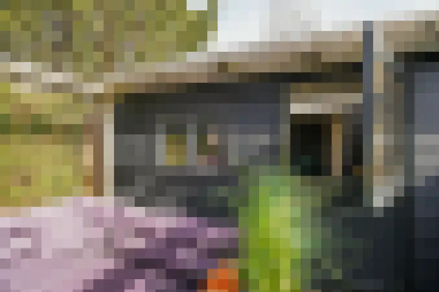 Houdringeweg 170 Rotterdam thumbnail 36