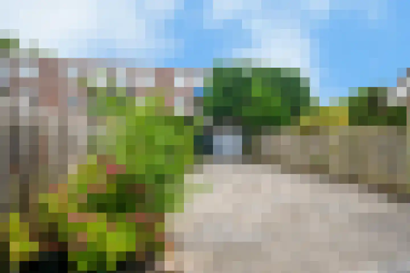 Houdringeweg 178 Rotterdam thumbnail 5
