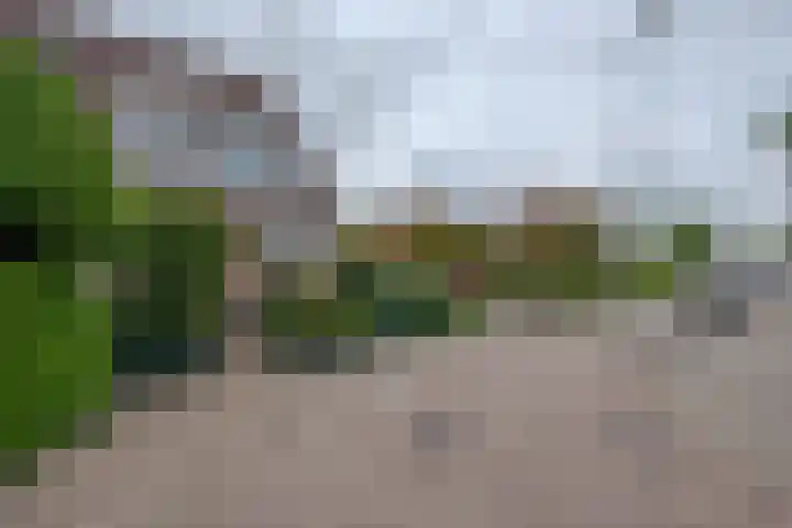 Houdringeweg 182 Rotterdam thumbnail 6