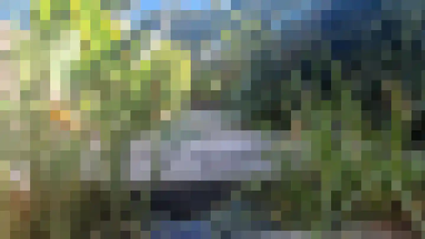 Houdringeweg 22 Rotterdam thumbnail 10