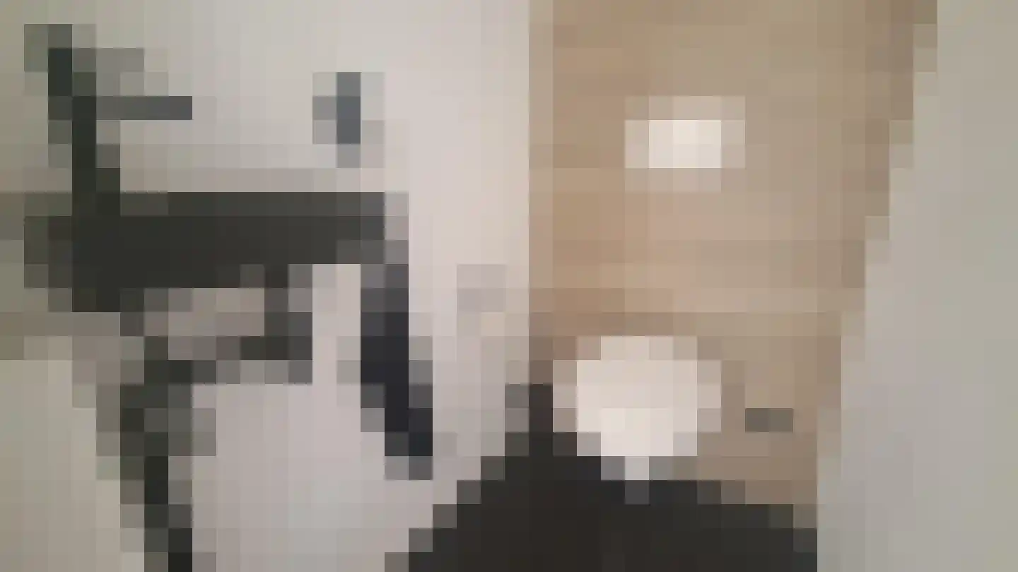 Houdringeweg 22 Rotterdam thumbnail 8