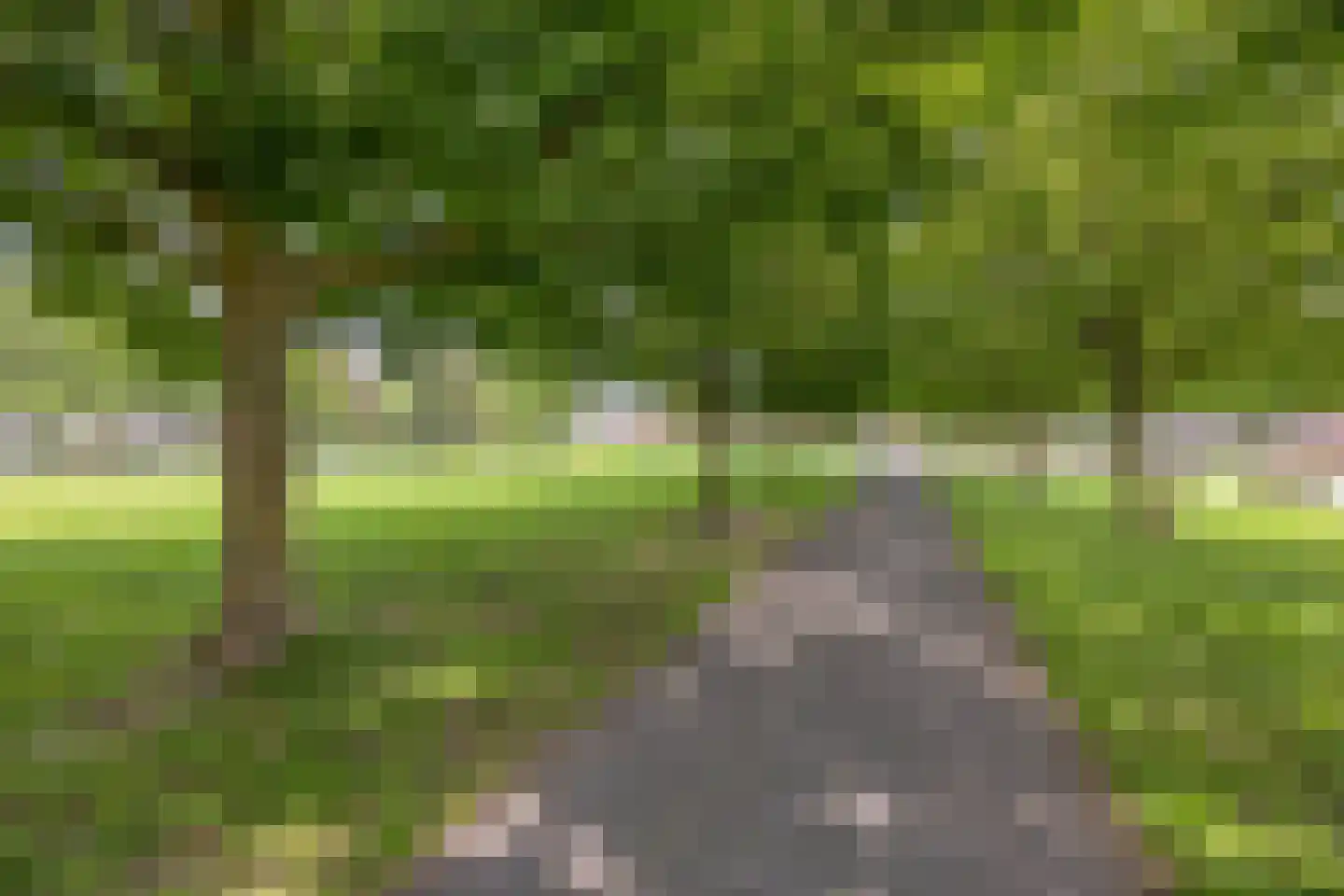 Houdringeweg 231 Rotterdam thumbnail 35