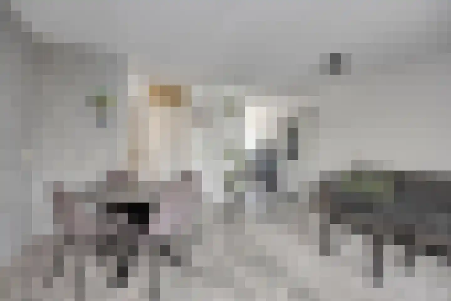 Houdringeweg 231 Rotterdam thumbnail 7