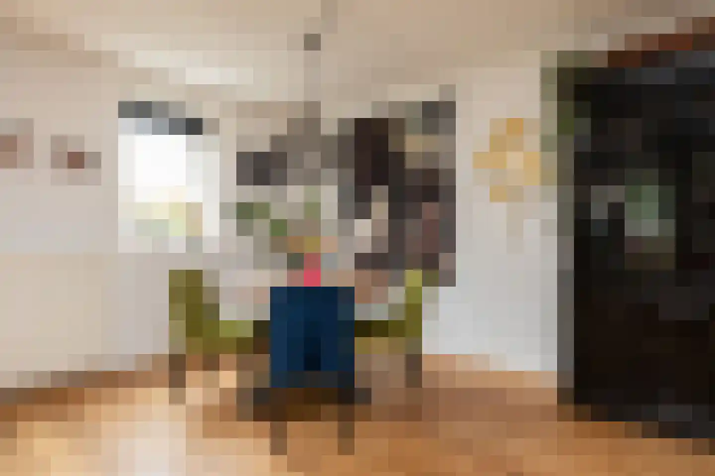Houkeslootstraat 18 Sneek thumbnail 11