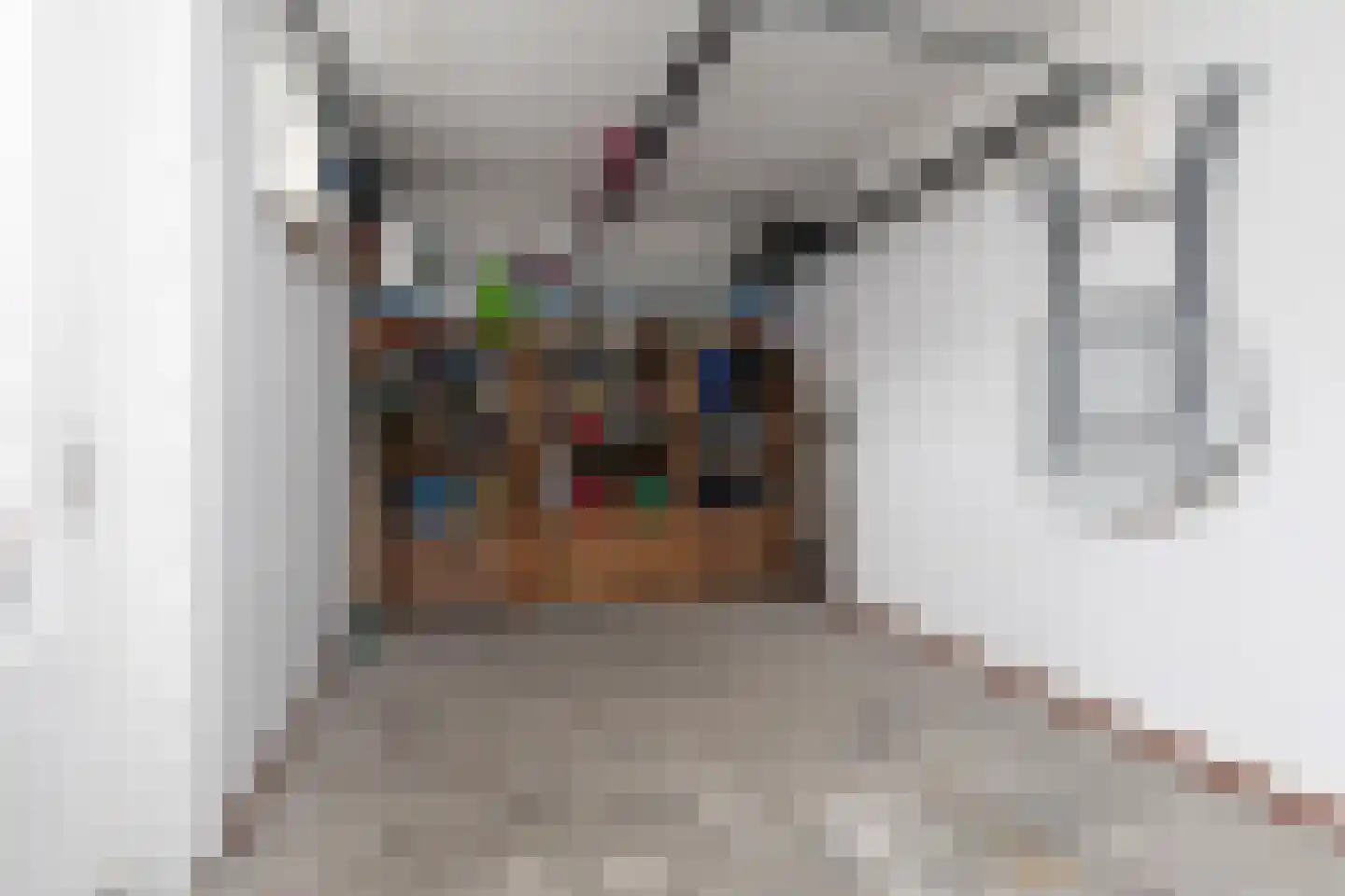 Houkeslootstraat 18 Sneek thumbnail 19
