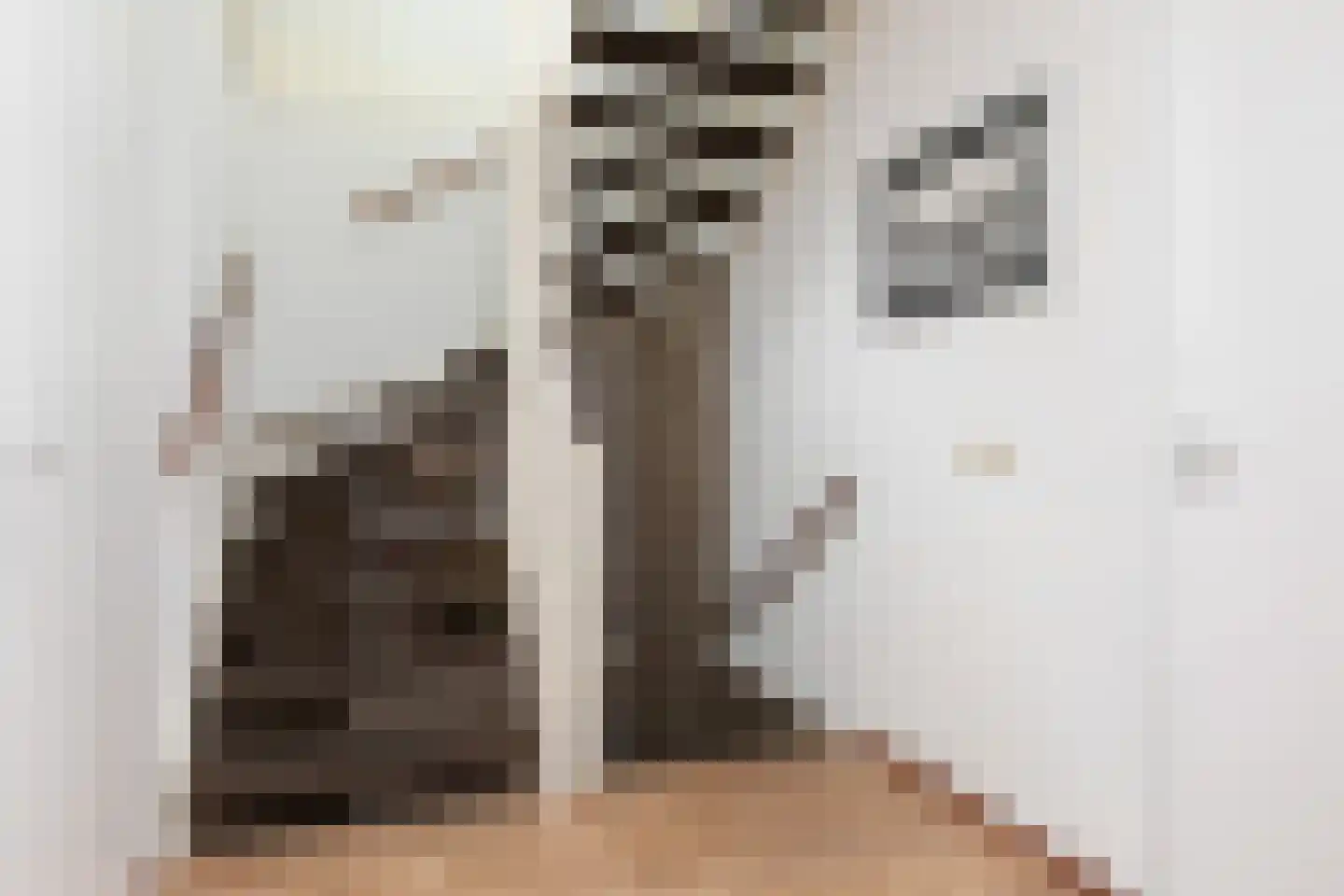 Houkeslootstraat 18 Sneek thumbnail 22