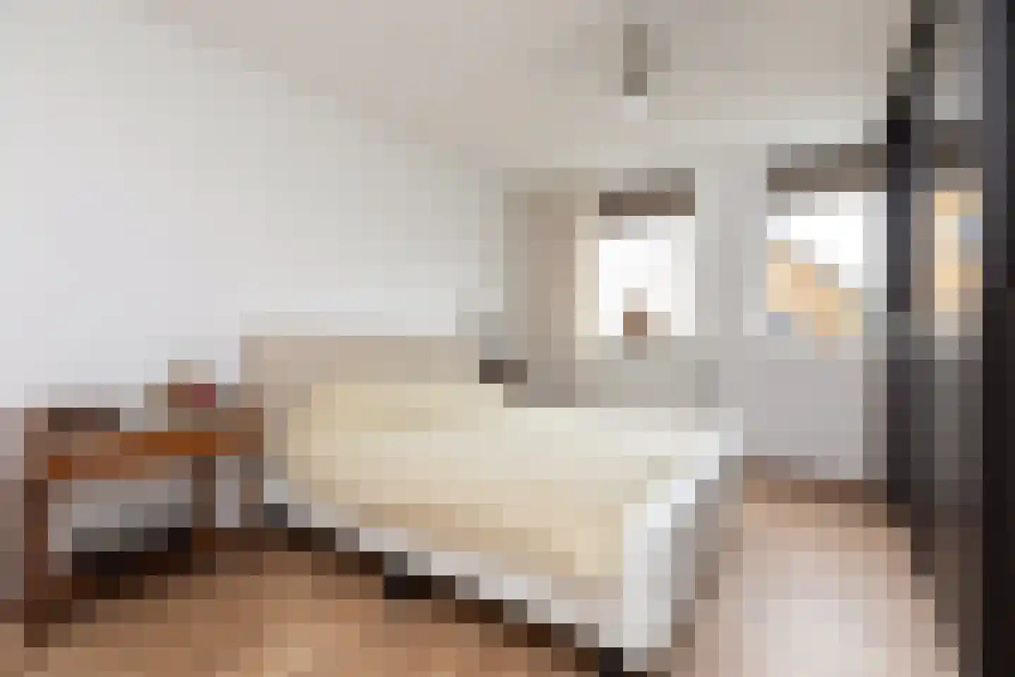 Houkeslootstraat 18 Sneek thumbnail 25