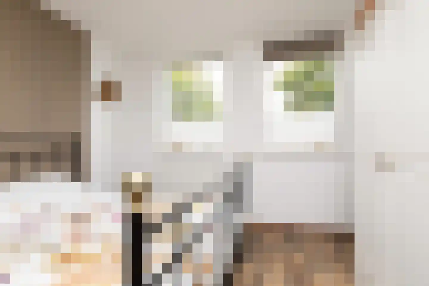 Houkeslootstraat 18 Sneek thumbnail 28