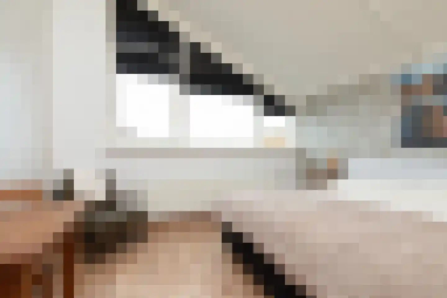 Houkeslootstraat 18 Sneek thumbnail 39